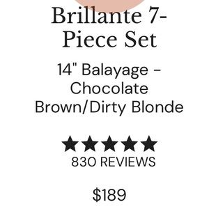 L'Ange baliage hair extensions. 14 inches